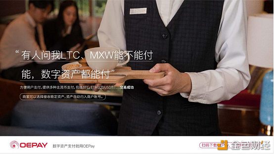打通全球支付体系OEPay如何造就新格局