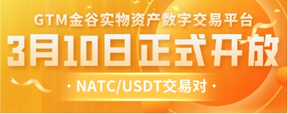 实物资产